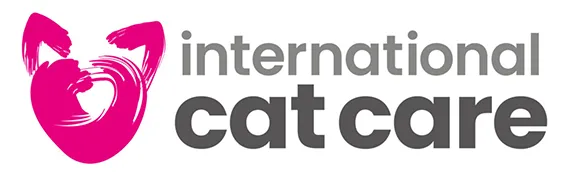 Interntional cat care certified